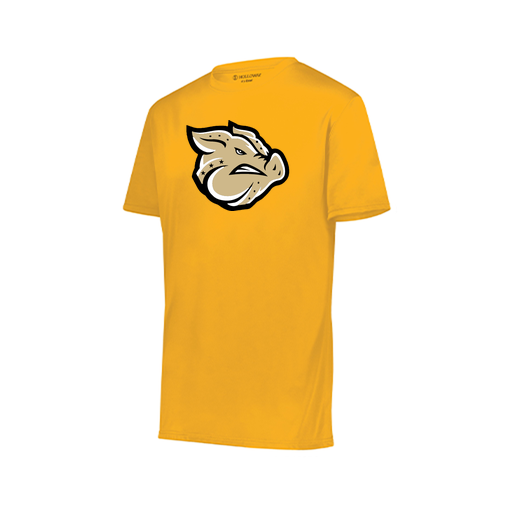 [222818.025.S-LOGO1] Men's Movement Dri Fit Shirt (Adult S, Athletic Gold, Logo 1)